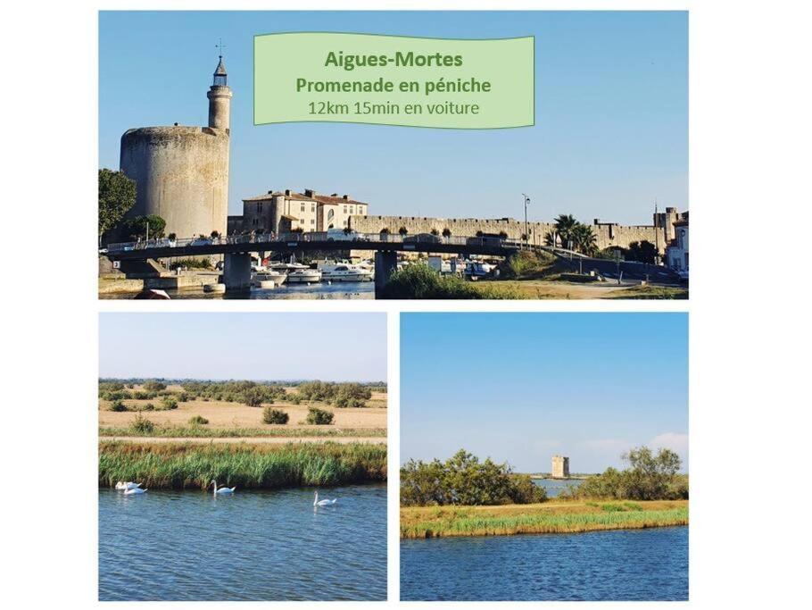 Suite Maya Parking Clim Wifi Centre-Ville Et Port - Rossiconciergerie - Linge Inclus La Grande Motte Luaran gambar